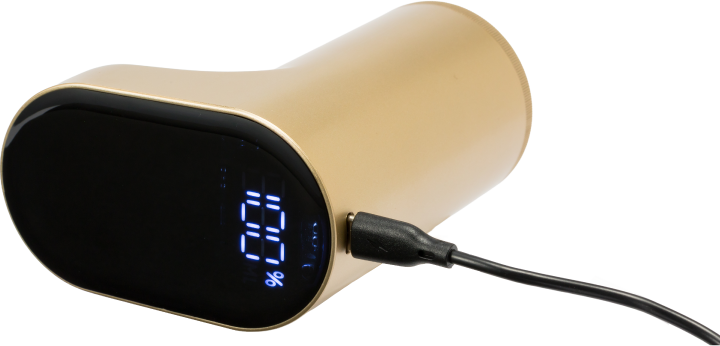 ポンのみ充電100%